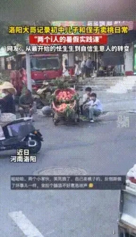 河南一位爸爸发现儿子和侄子生性腼腆，见到外人不敢开口交流。趁着暑假，他干脆支起桃