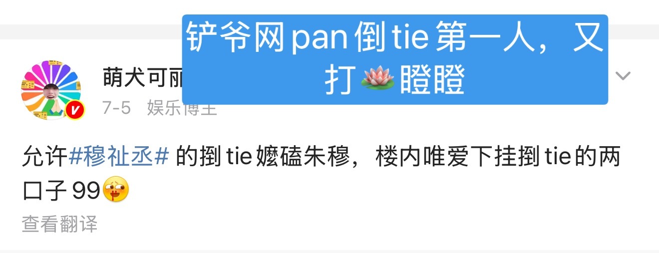 对不起了信号瞪的期待，铲爷说他想倒tie想入赘想让九番粉丝都去磕裤系竹马耶