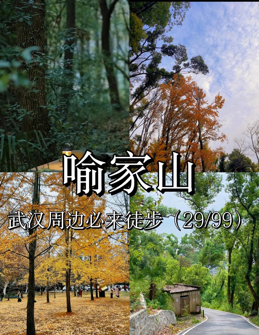 武汉周边必来徒步之喻家山（29/99）
🚶武汉喻家山徒步攻略 | 中心城区的自