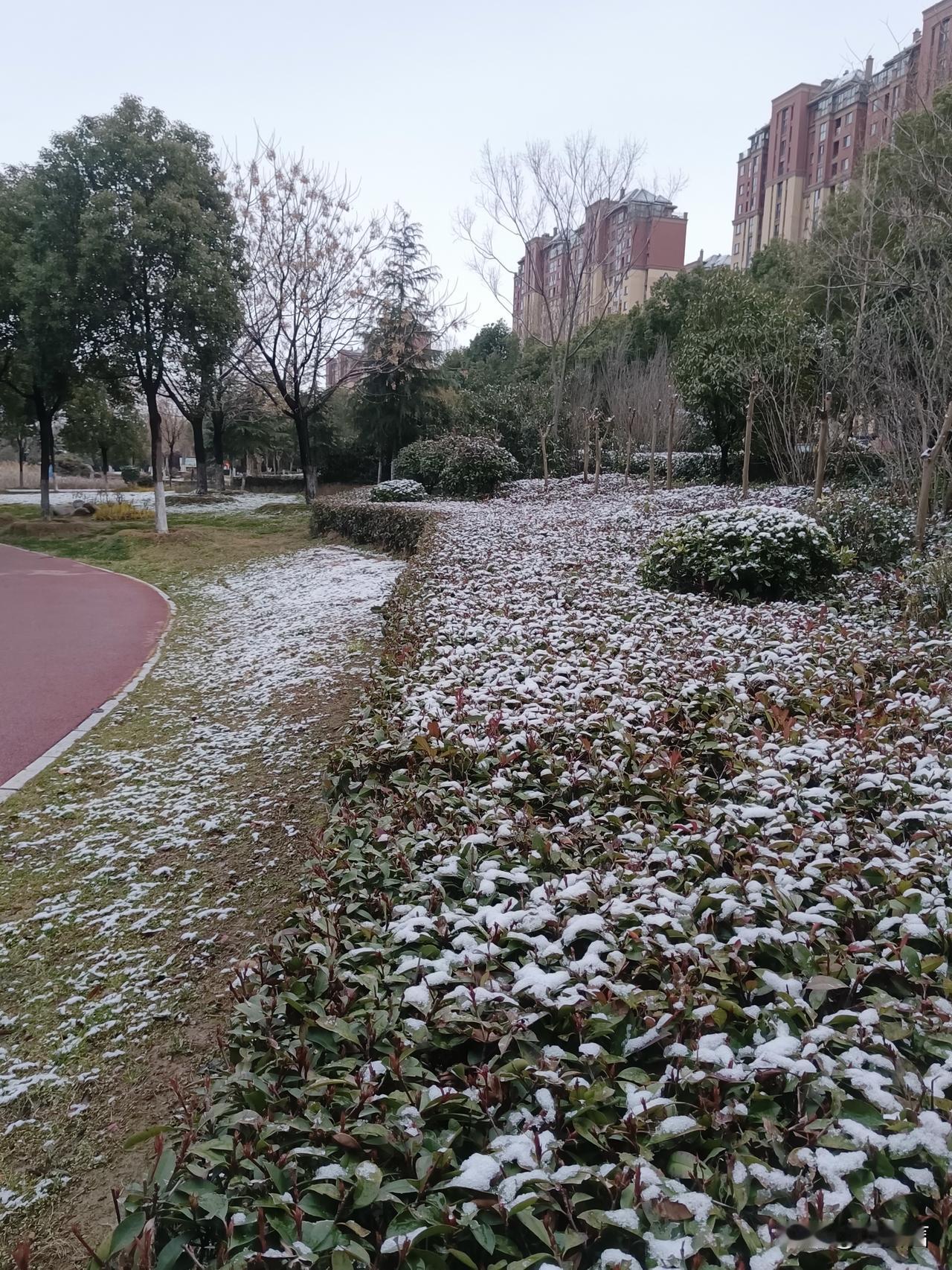 我的除夕晨
昨天，腊月二十八，飘了一夜雪花，今，除夕清晨，冰清玉洁，瑞雪兆丰年！