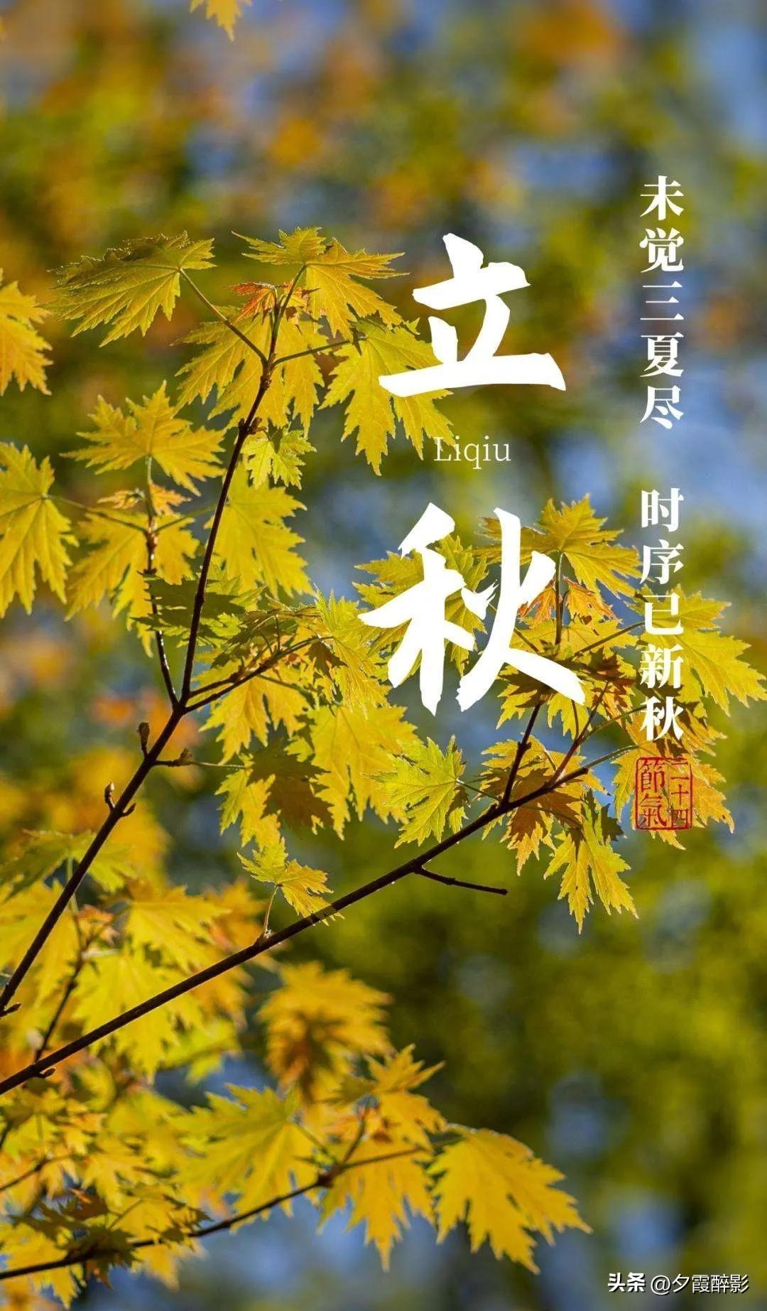 今日立秋，今年是老辈人说的闭眼秋，简单唠唠啥意思
 
今天正式立秋，交节在晚上七