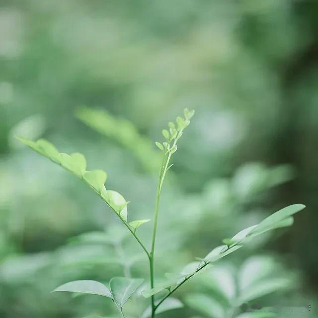 我觉得普通人需要的不是学习，而是看，看这个世界如何运行，看世间的一草一木如何枯荣