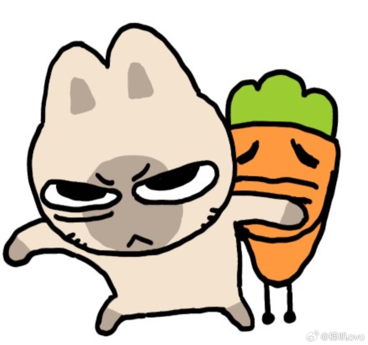 以后也请多多关照🥕 