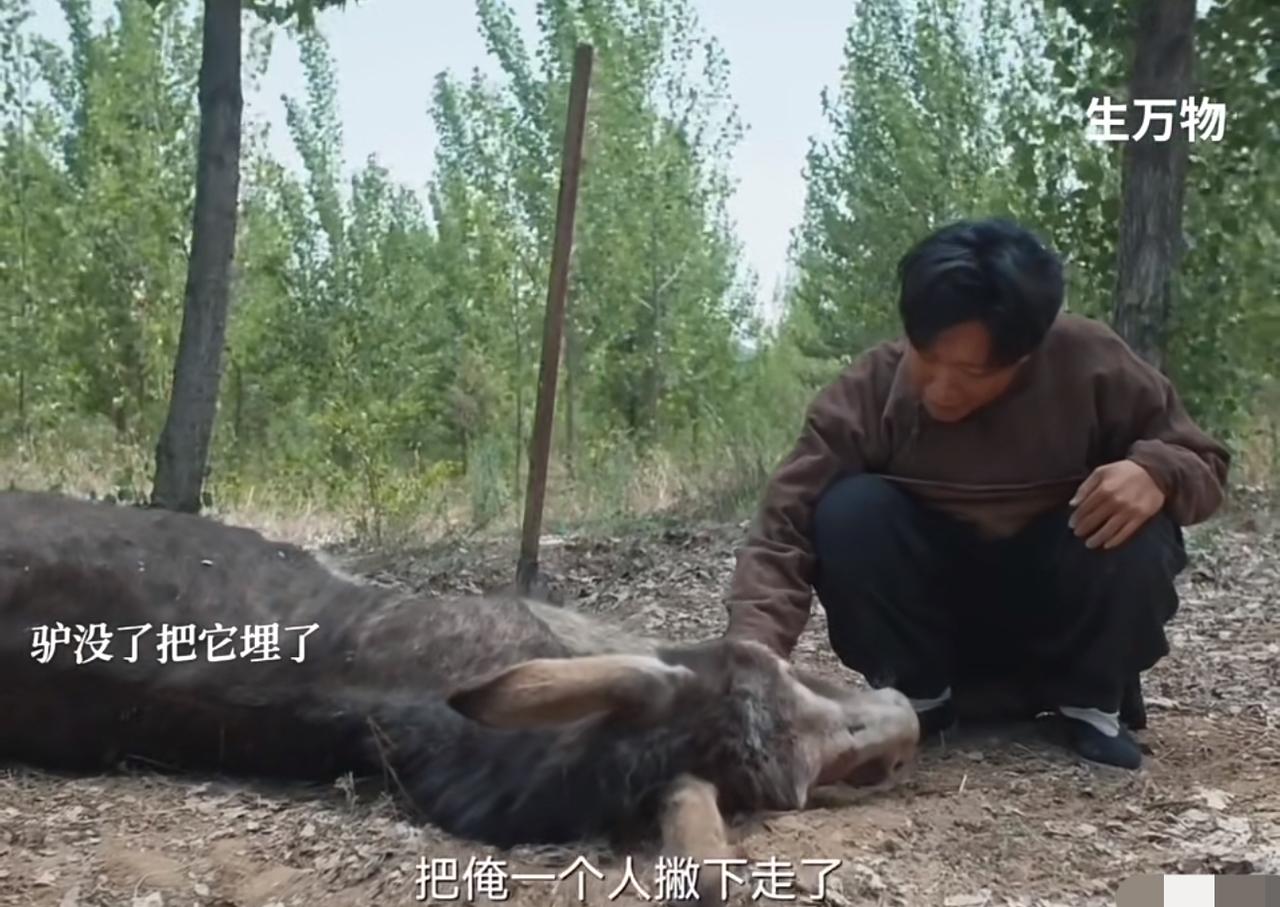 生万物：郭鬼腰埋驴，说他只有这一个亲人了。
没想到编剧把郭鬼腰改的如此善良。
与