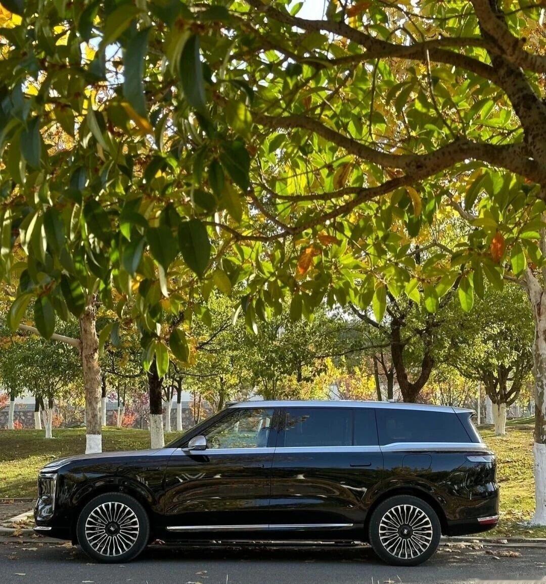 这个车友的配色还真不错，侧面大揽胜啊第一眼瞅着确实有揽胜那股子旗舰气场，方正车身