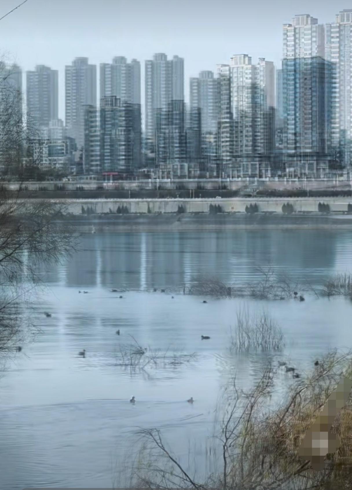 天南地北大拜年又是吃到肚儿圆的一天，再不能这样了，吃过午饭出门走走，河边已经春意