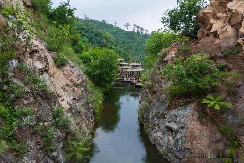农村里的度假村别有一番风味。像济南鹿泉谷，7月27日刚开园，就在南部山区西营街道