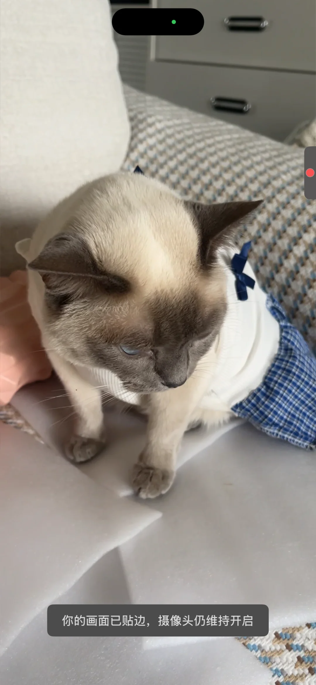 好想女儿