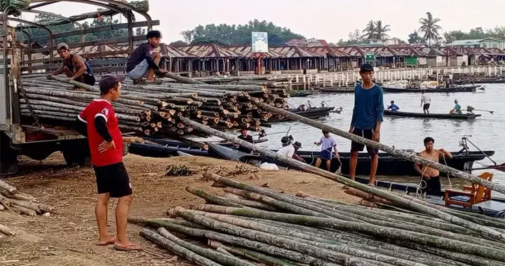 缅甸地震灾区茵莱湖获耶岸镇地区居民捐赠逾万根竹子