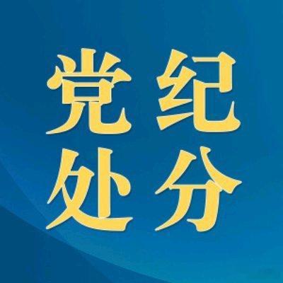 这是一只 大老虎哇.违纪违法 必须严惩......视频丨中华全国总工会原副主席张