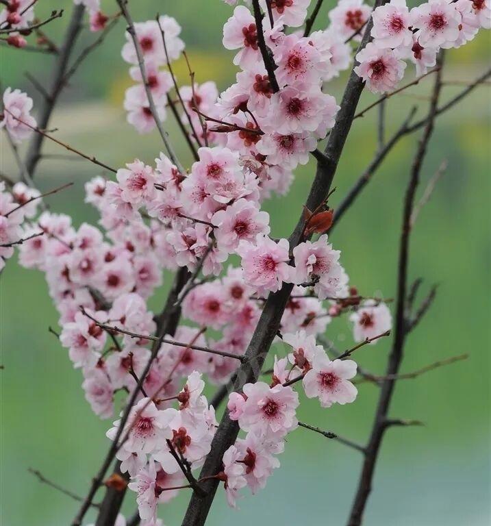 2022年的奥运会开幕式还不错，我说的是冬奥会。中国人干什么事情都非常认真，并且