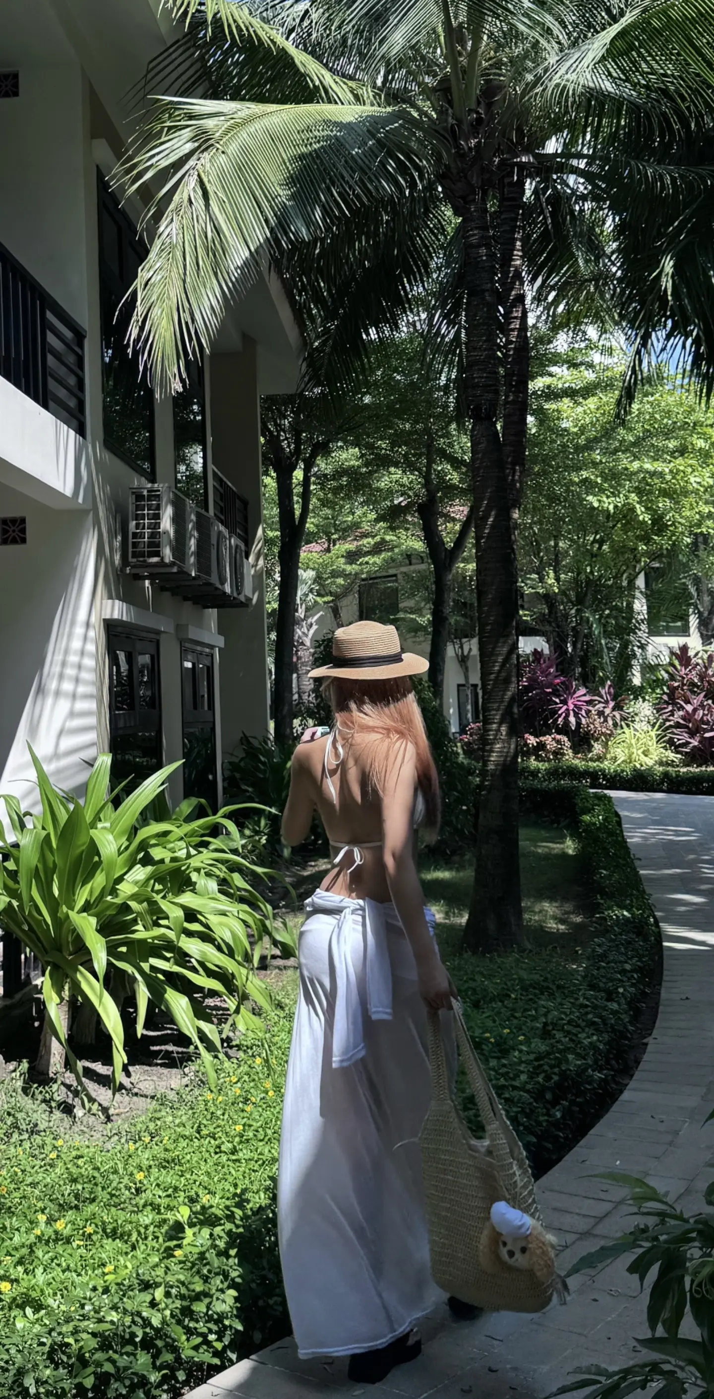 如果可以我希望一直自由