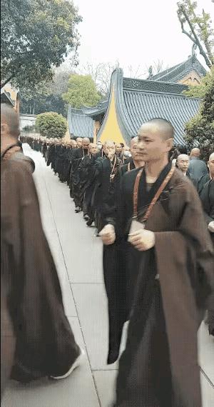 这是哪里开的法会？都是一些年轻的法师，这是好现象，任何行业都讲究传承，他们接过老