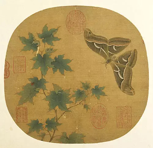 宋 佚名 青枫巨蝶图页 纨扇页，绢本。嫩绿色枫树一株，枝叶婆娑。一只赭黄色巨蝶从