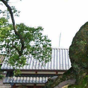 每日一善阳光信用 春来繁花盛放，秋至明月当空，夏有清风拂面，冬有白雪安暖。四季各
