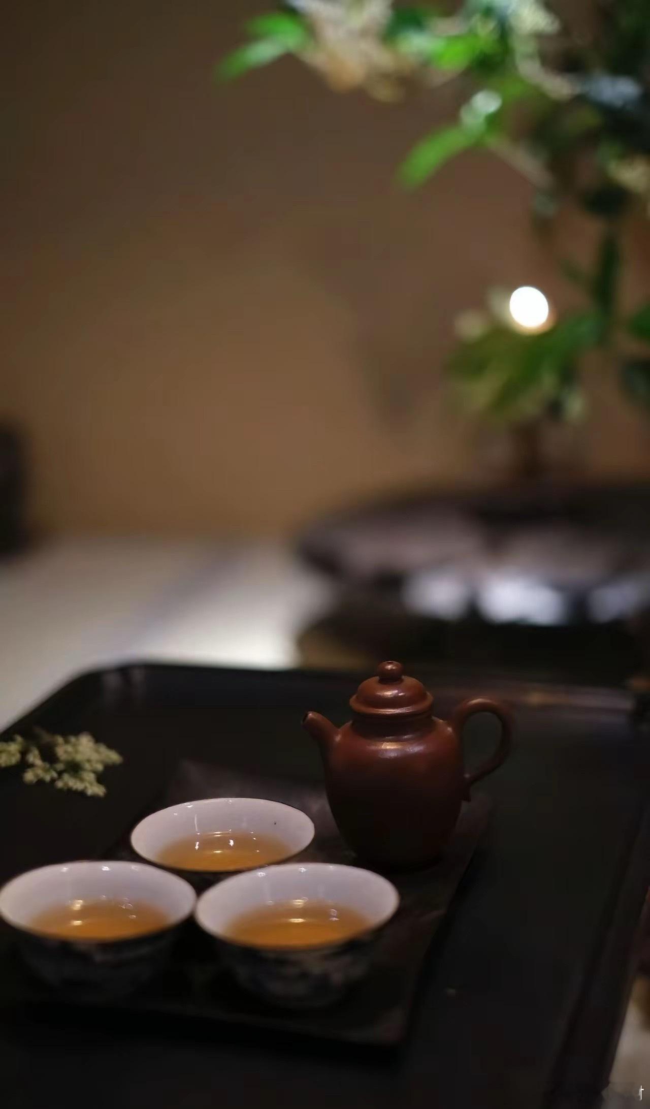 最好的养生，全都免费其实，最好的养生，是少吃一口；最好的补阳，是晒透太阳；最好的