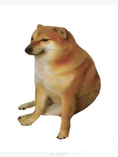 预料之内，我已经能够猜到今年最畅销的机型是iPhone17了。毕竟，这次iPho