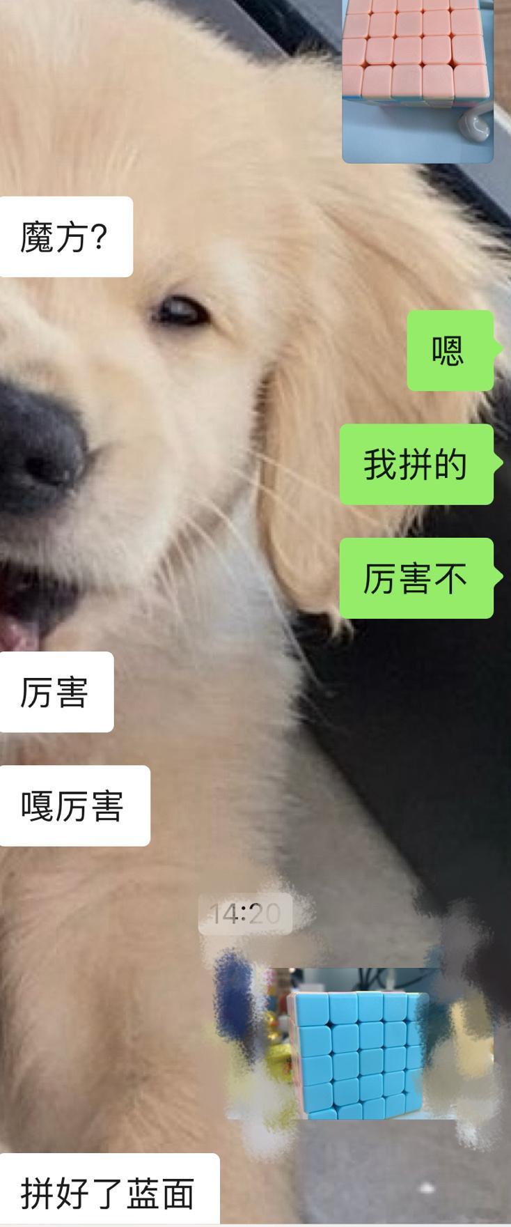 快过年了，要在Z眼皮子底下吃东西了，所以今天把垃圾食品都吃够！！反正他不会发现，