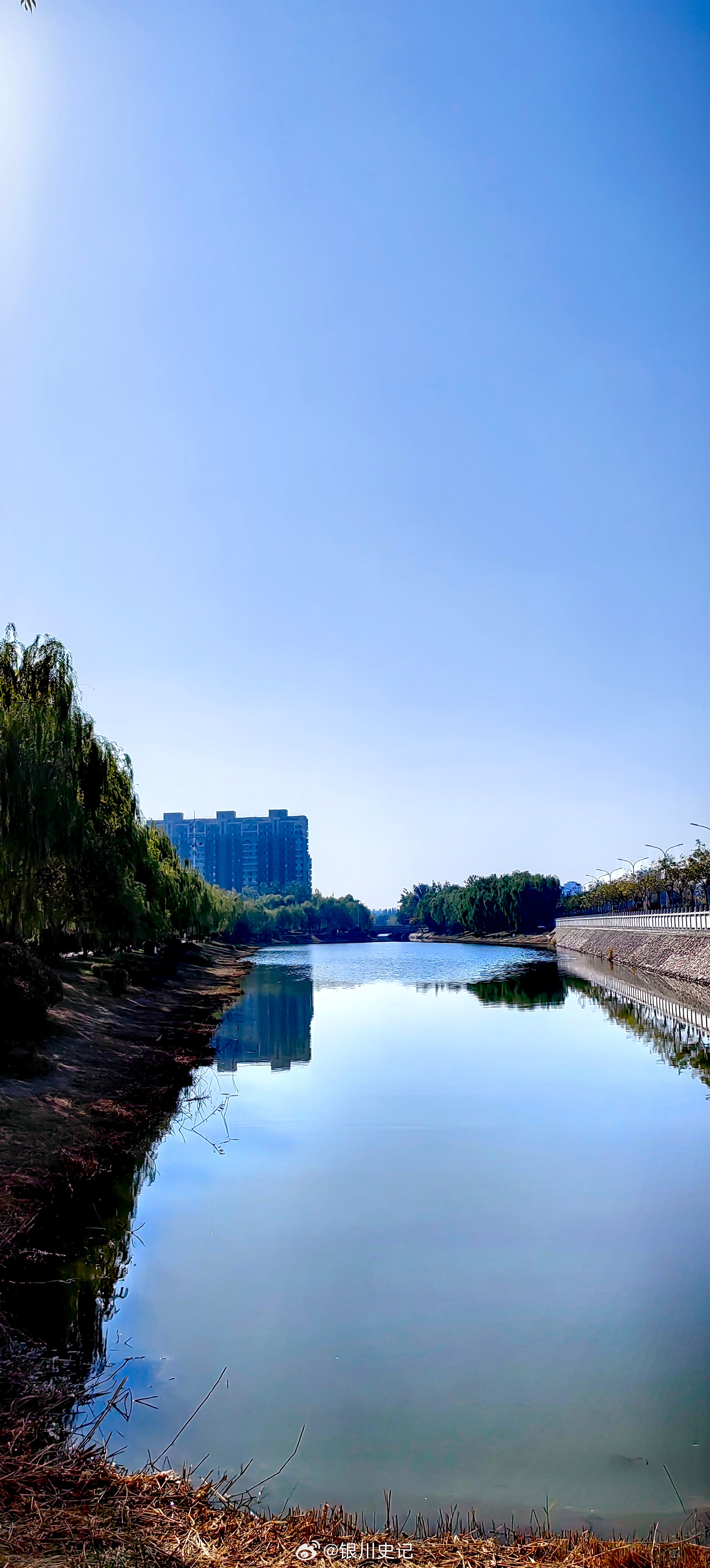 城中有湖，湖里会有鱼吗？随手拍[超话]银川史记银川宁夏[超话]宁夏  ​​​