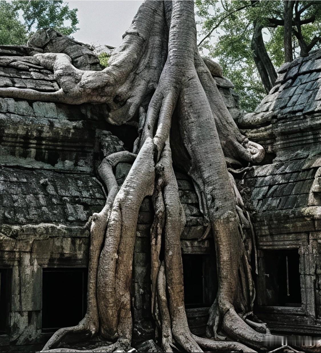 柬埔寨塔布隆寺由吴哥王朝的阇耶跋摩七世于12世纪末建造，原本是为了纪念他的母亲（
