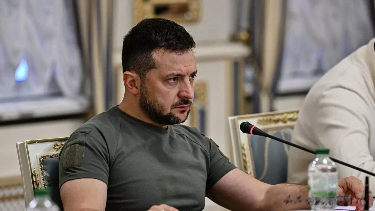 泽连斯基称乌克兰计划在北约峰会前展示反攻成果

来源:俄罗斯卫星通讯社

乌克兰