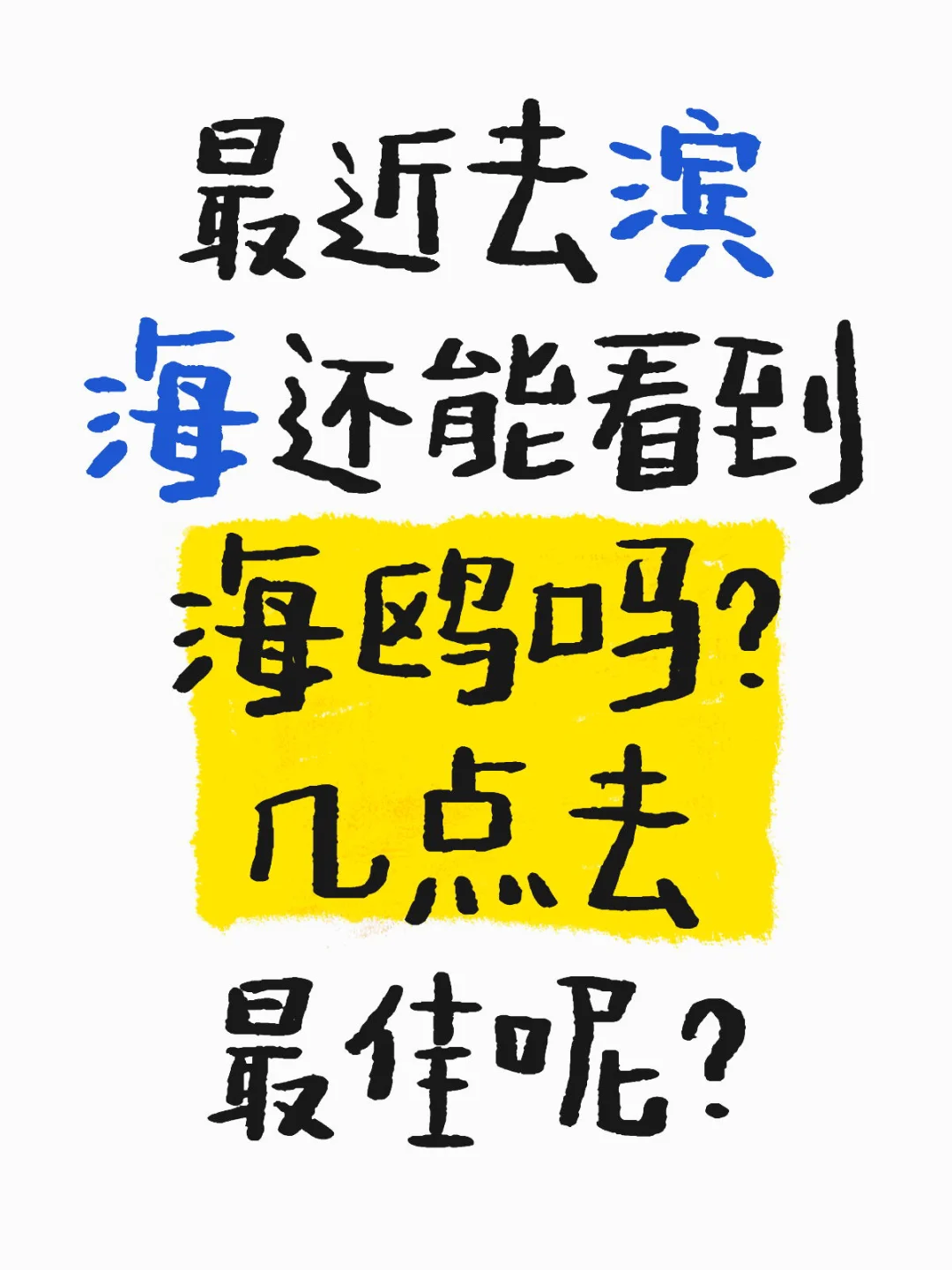 最近想去滨海看海鸥 求经验人指点一二