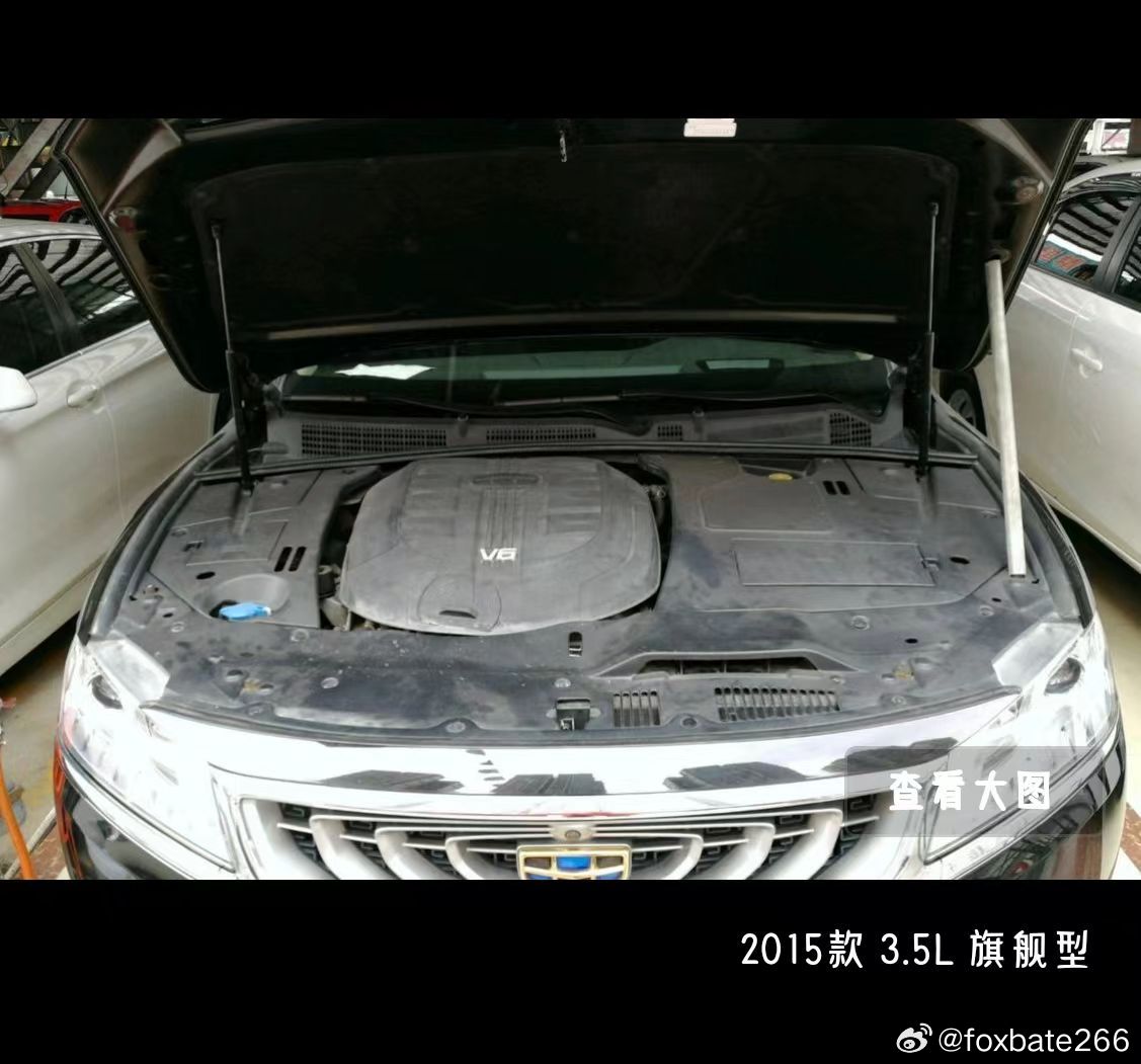 博瑞的V6吉祥物 