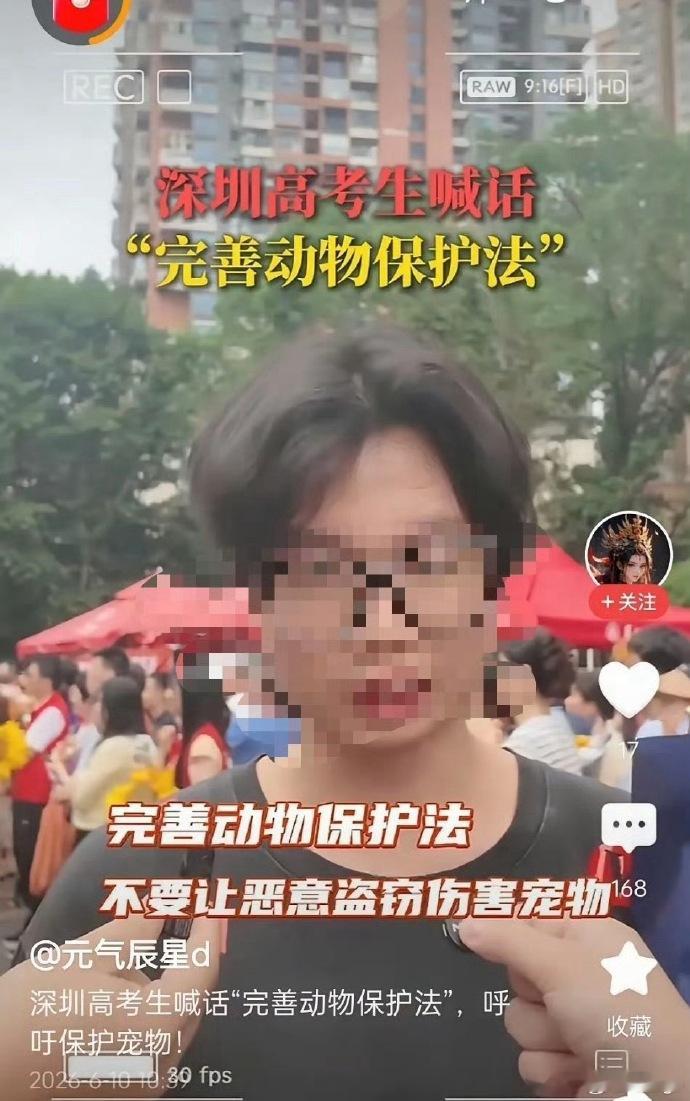 所有有主人伺养的动物，作为财产，受民法典保护，还有养犬条例来保护，有野生动物保护
