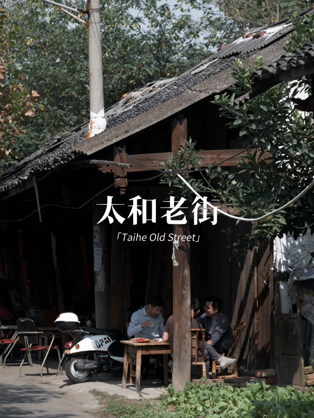 成都小众老街⛩️5元一杯盖碗茶🍵冲进旧时光