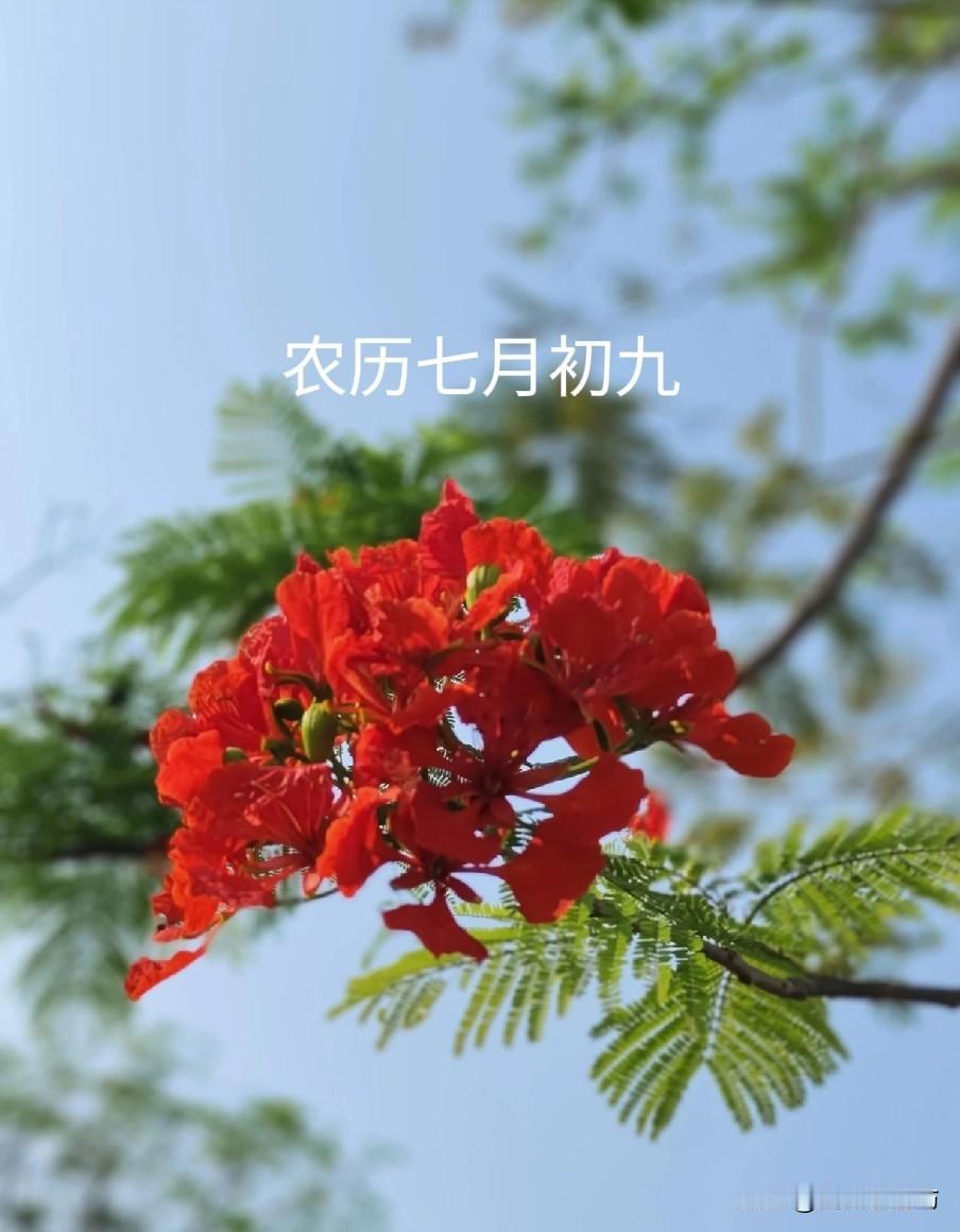 不是迷信！明日七月初九是“凶日”，白天5禁忌，晚上4注意
 
民间常将农历七月初