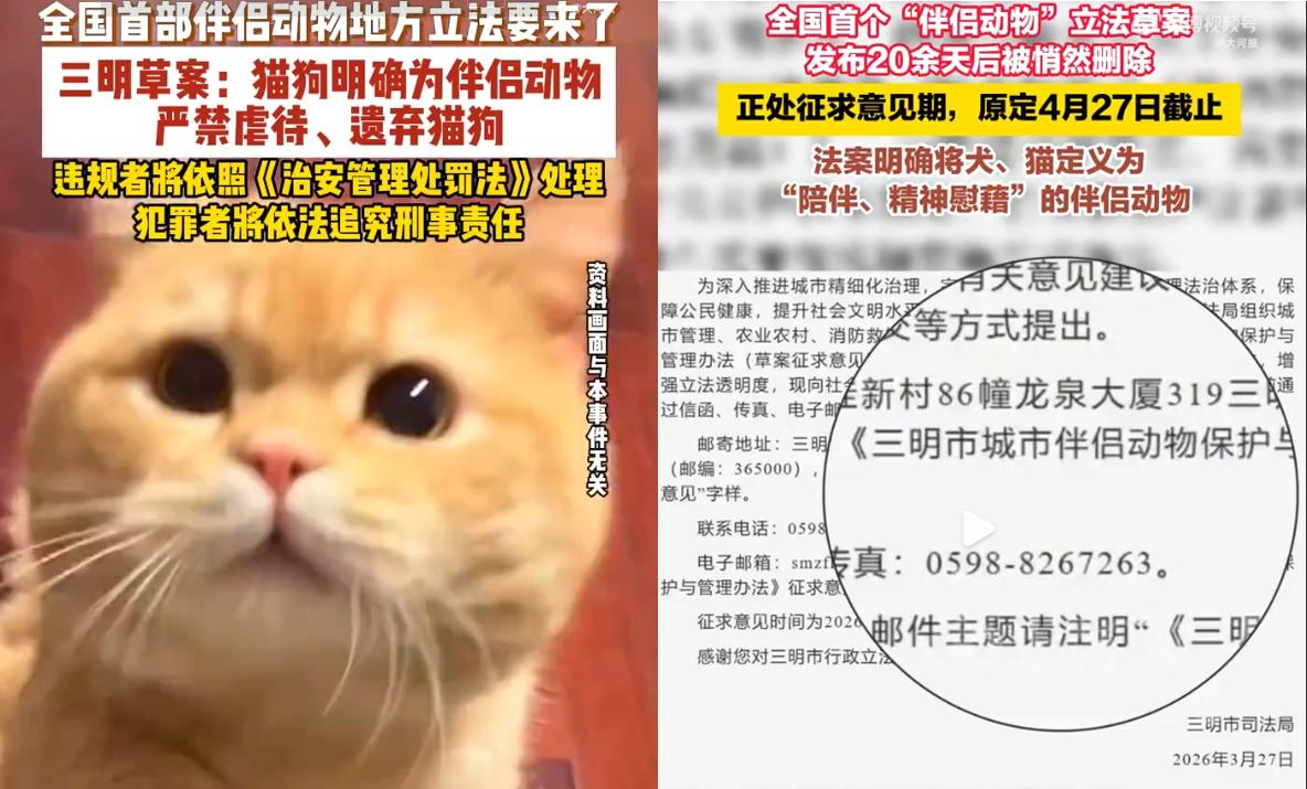 2026 年 3 月，福建三明甩出王炸，推出全国首个伴侣动物管理草案，直接把猫狗