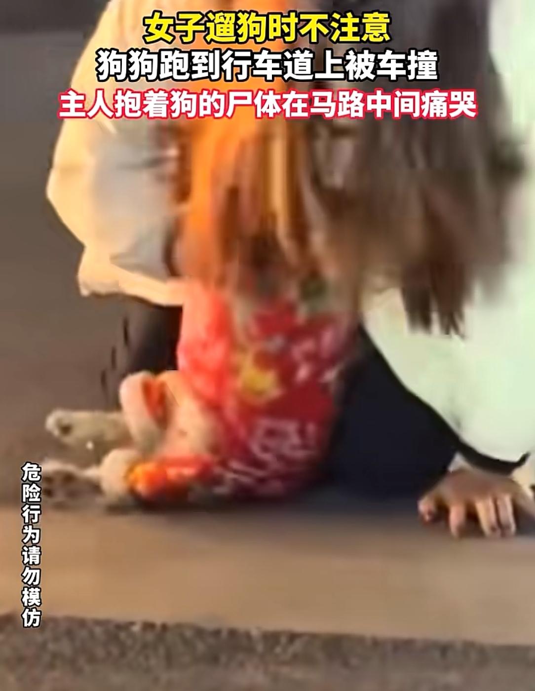 遛狗时不看好狗，等狗被车撞了又崩溃，这到底怪谁呢？
近日，浙江一女子就因为遛狗时