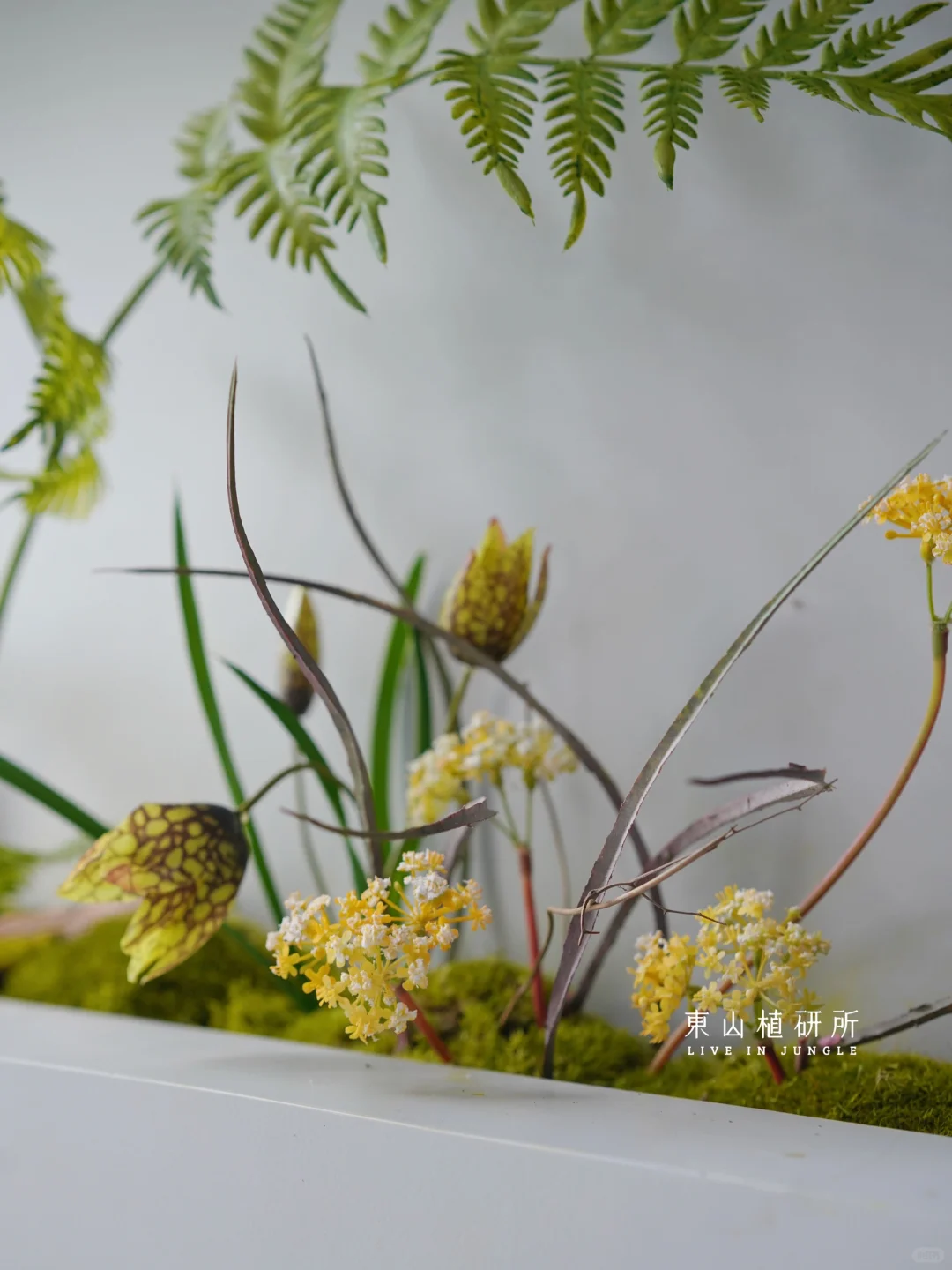 植物造景| 仿真植物小景