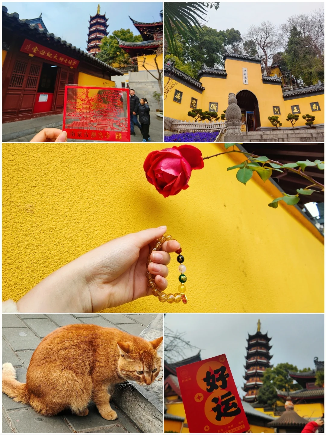 🔥是真的｜没人能空着手离开鸡鸣寺❗️