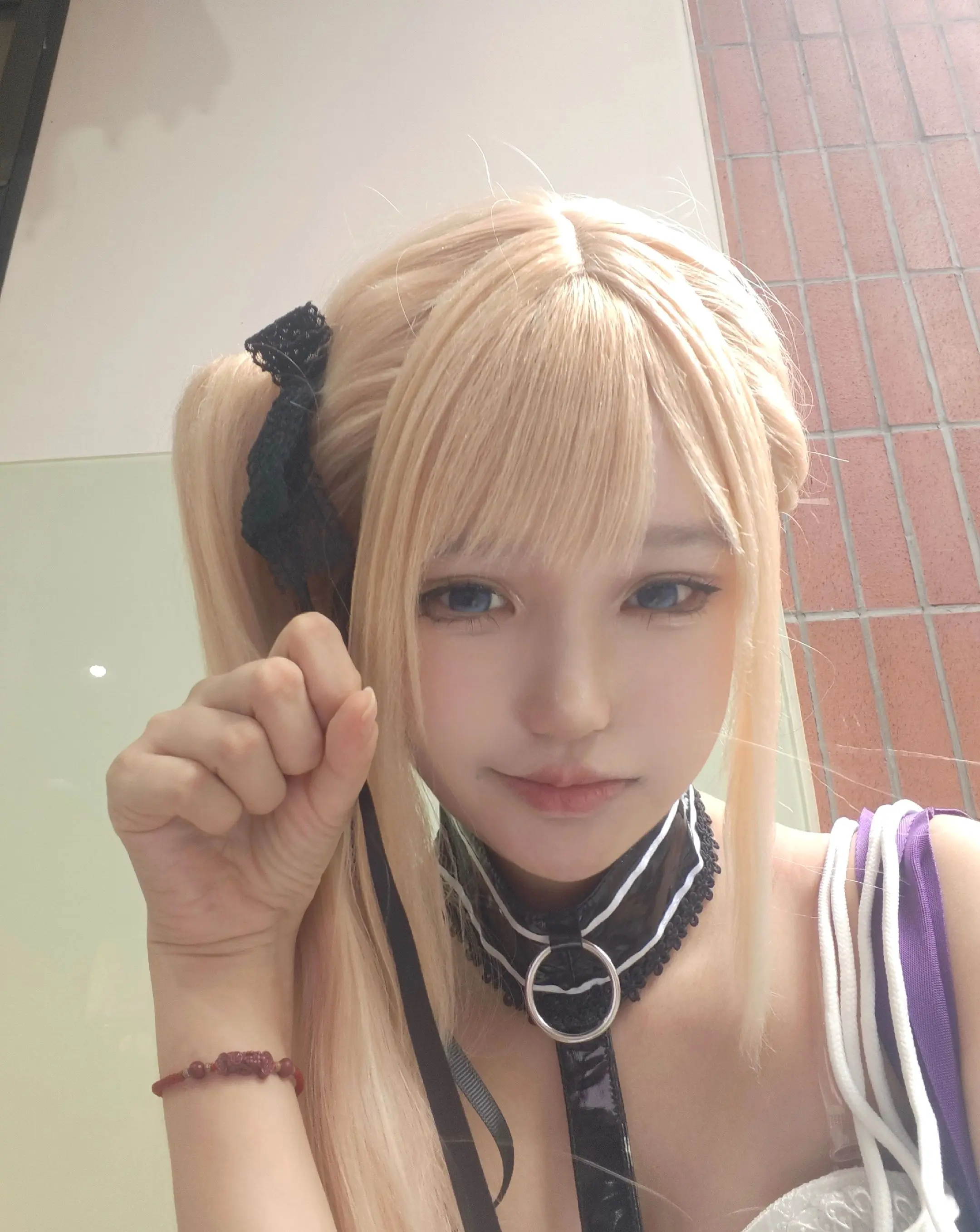 小猫卖萌
