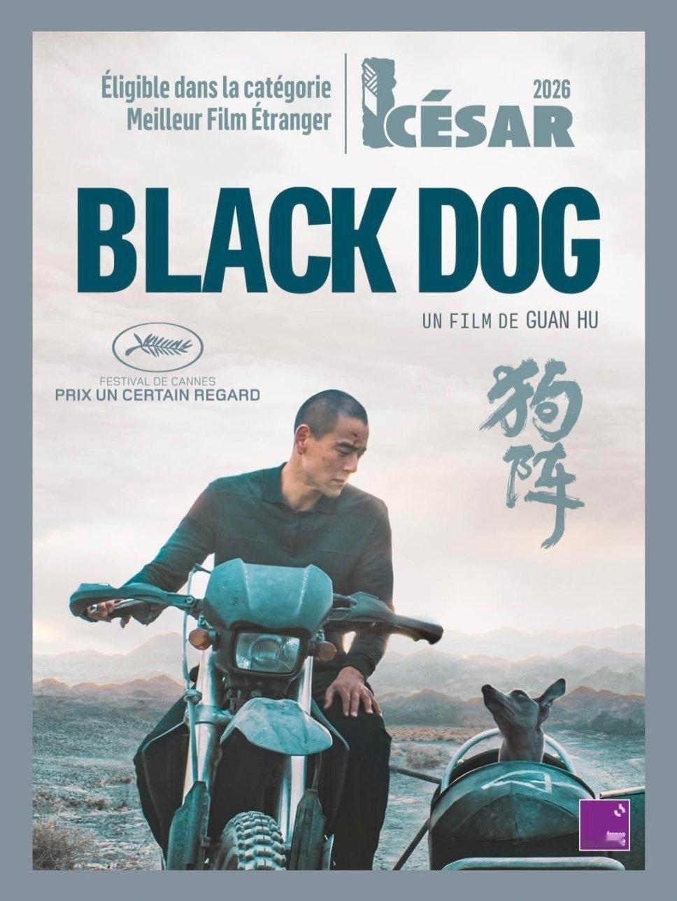 彭于晏 👏恭喜电影狗阵符合法国2026凯撒奖「最佳外语片」🌹⭐法国凯撒电影奖