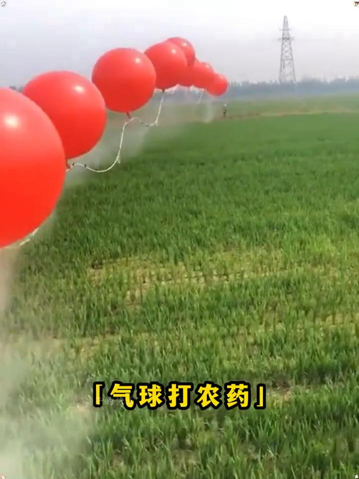 劳动人民的办法多。
·全自动消毒。
·蜘蛛侠卷尺。
·铁棍运石墩。
·烂泥扶墙。