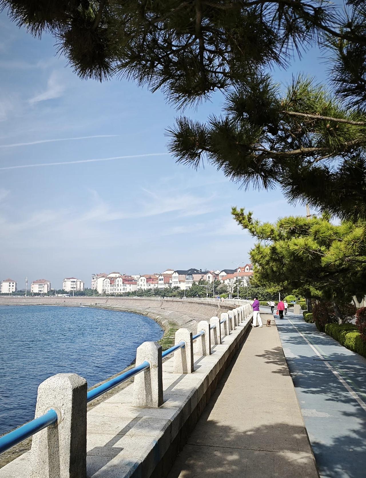 4月12青岛八大峡云淡风轻海上大雾15℃
气温回落，稍微凉渗
海上有大雾，风不大