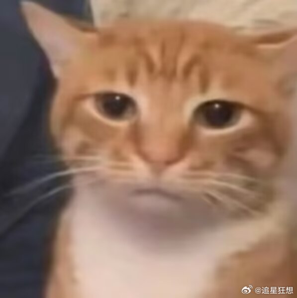 爸妈用车vs我用车 爸妈：车子有一点小毛病就赶紧去修，生怕出问题。我：车子有点小