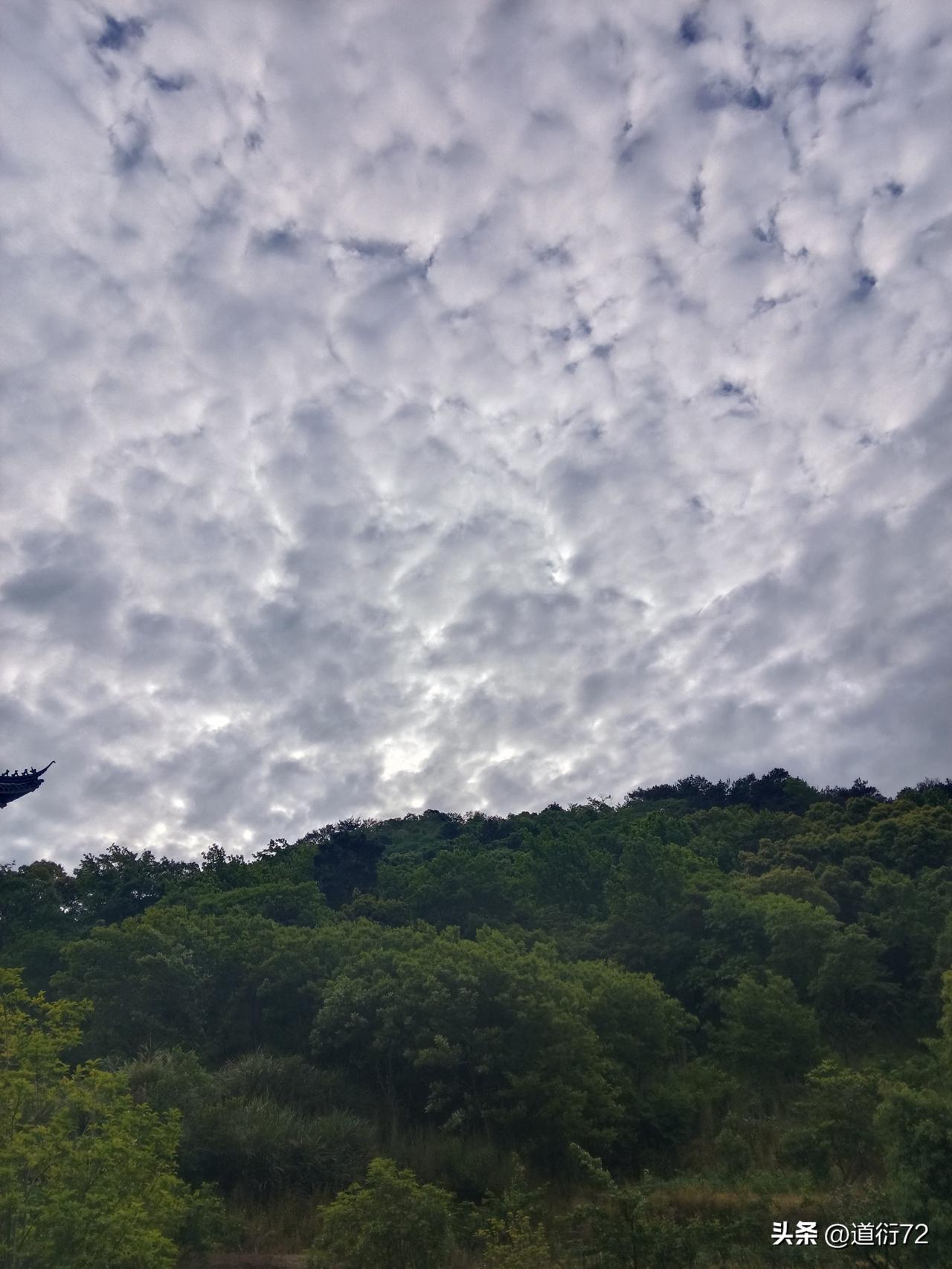 耿同学如今声名远扬，却也付出了巨大代价。他已经受到了一些骚扰，利诱和威胁。他质疑