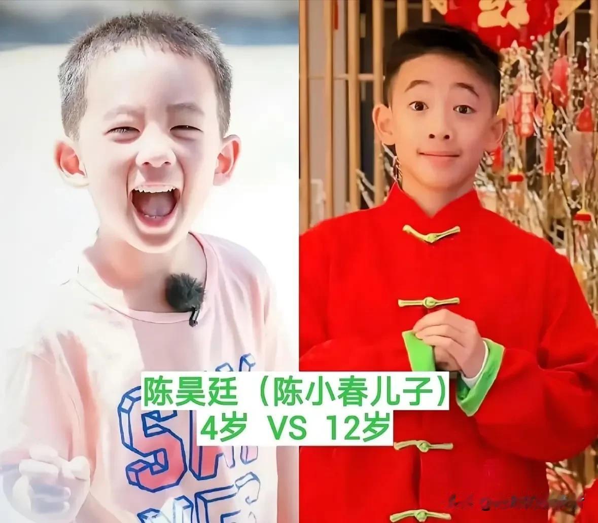 时隔11年，《爸爸去哪儿》萌娃今昔对比，变化令人感慨。
一晃十一年过去，当年《爸