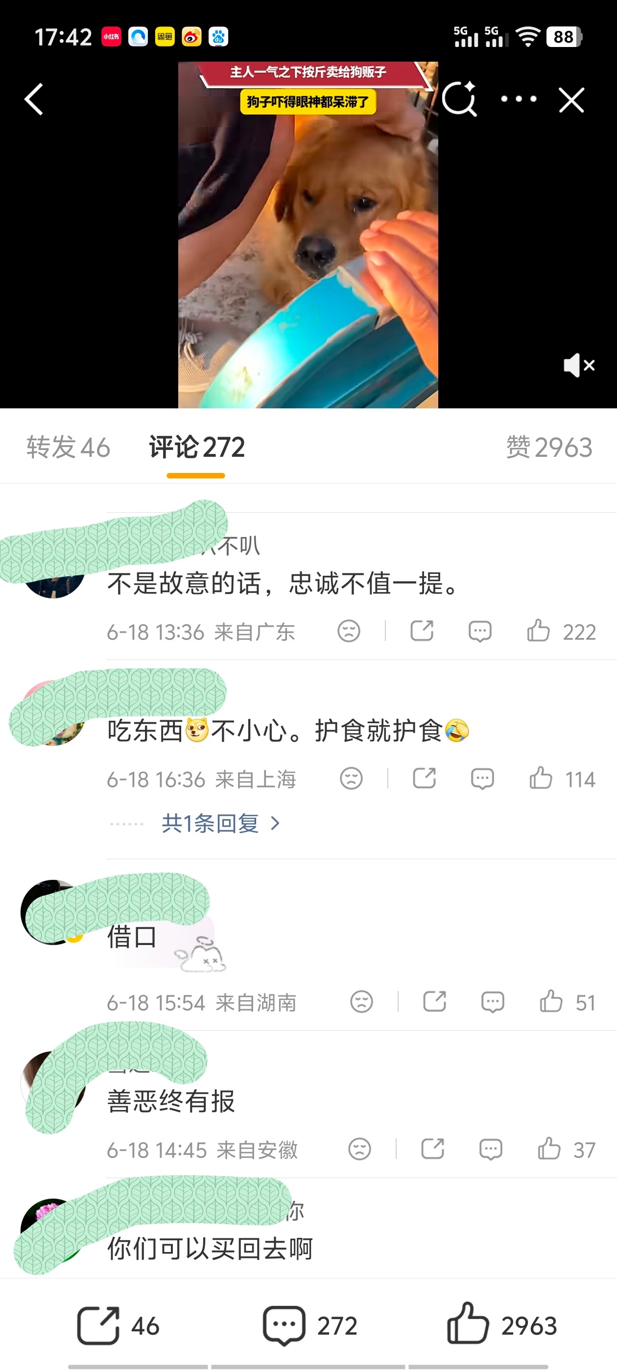 狗狗不慎咬伤孩子被卖满眼惊恐渣浪，这就是你倡导的和谐社会？！ 