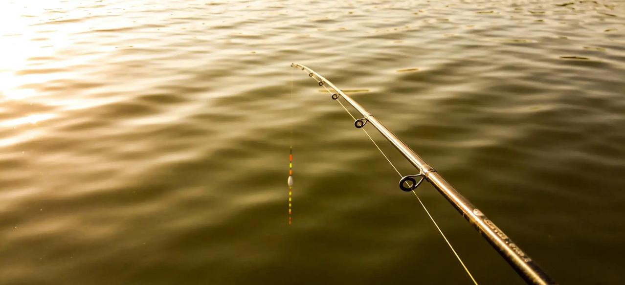 上个月，一个野塘被台钓钓友们彻底放弃，我却用传统抖灰面钓法轻松钓上三条斤鲫，这反