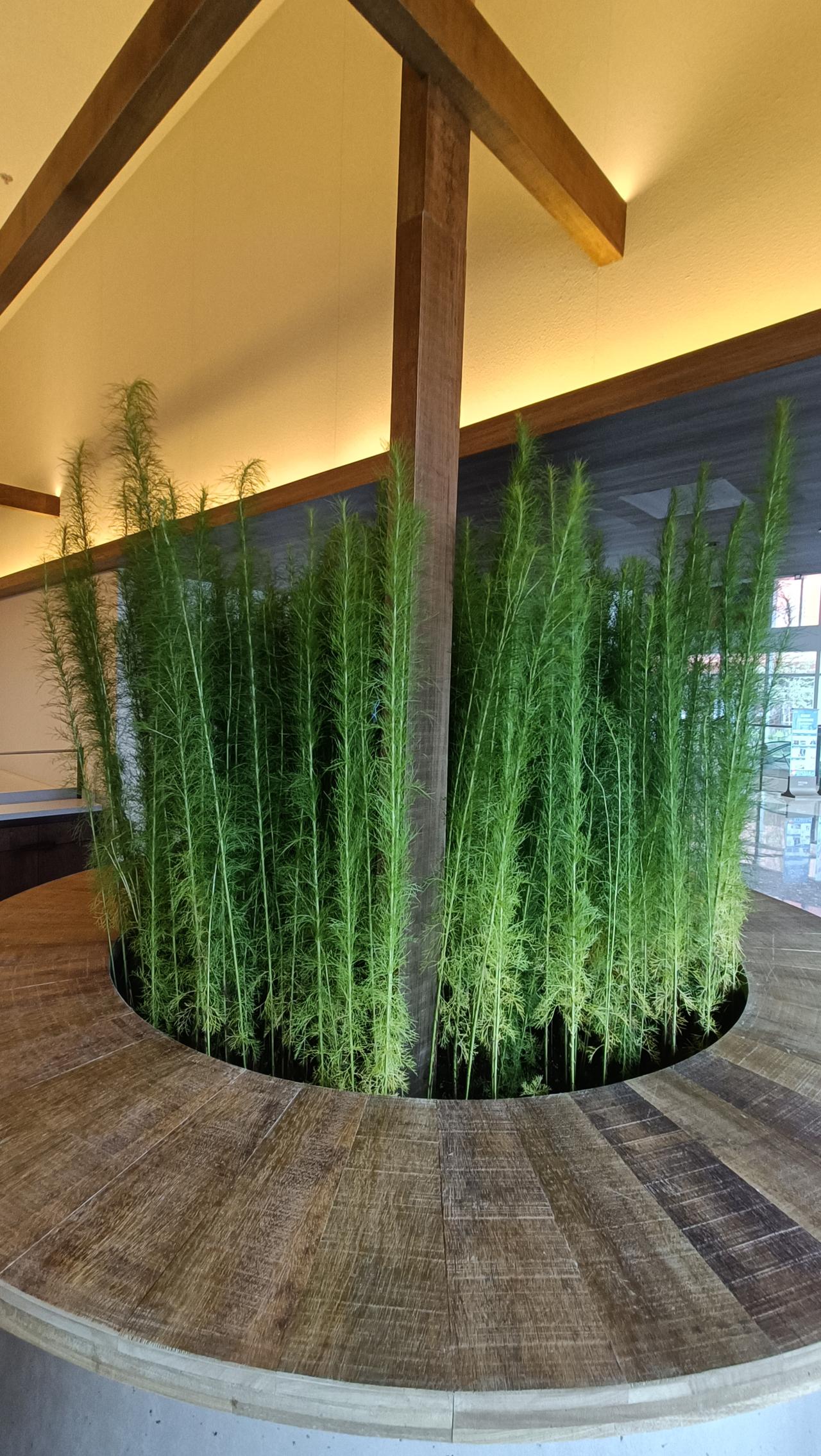 现代简约风，绿植点缀，自然与现代的完美融合。
上联：绿意盎然中，
下联：静享自然