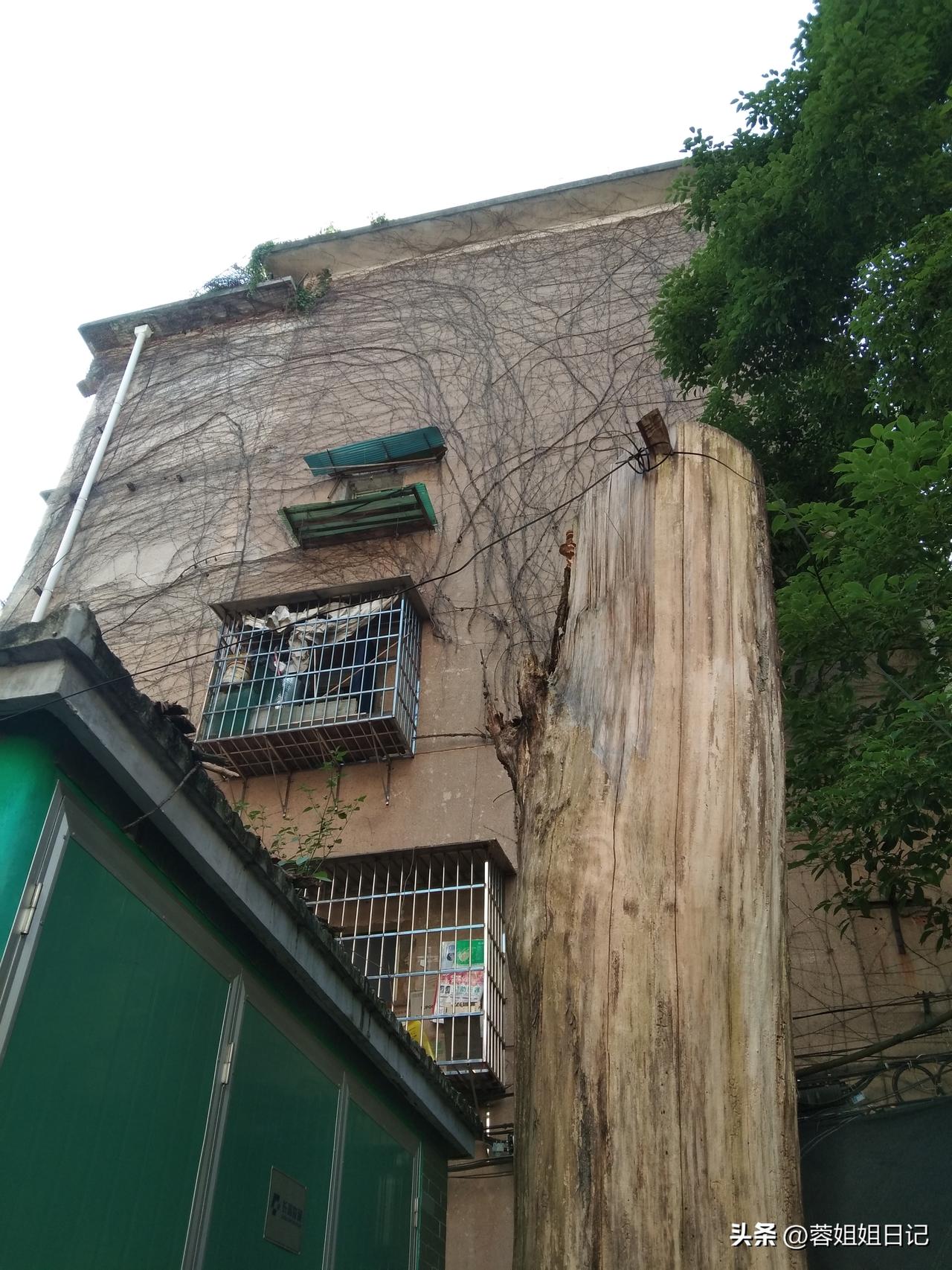 我今天呆在家里，终于把万能险万能账户搞清楚了。我给先生买的是泰康鑫享世家优享保险