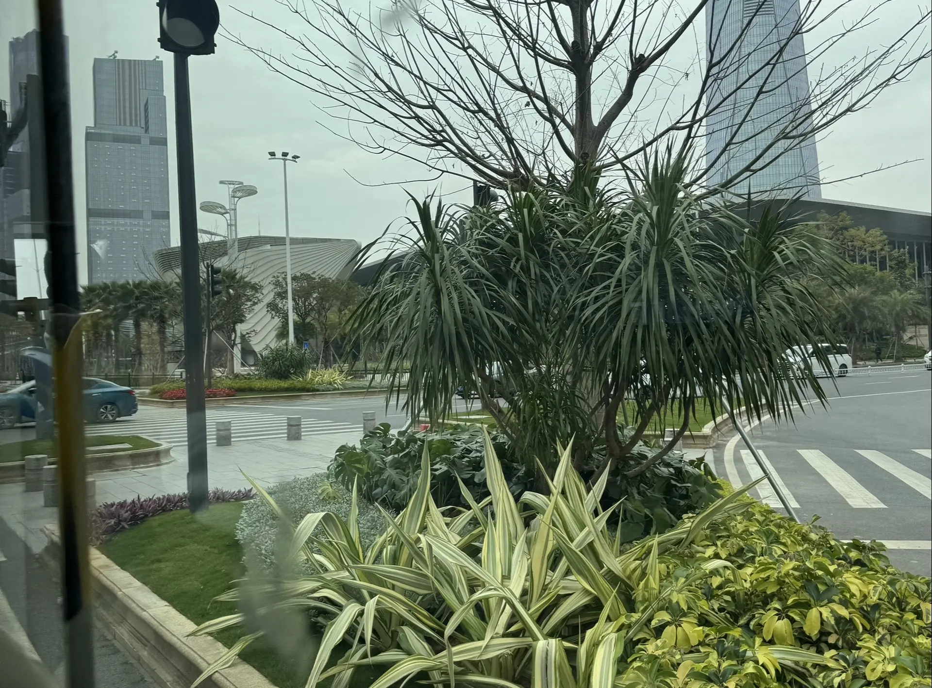 《引长夏》by姜温夏，天之骄子vs逆袭咸鱼，青梅竹马+双向暗恋+救赎+...