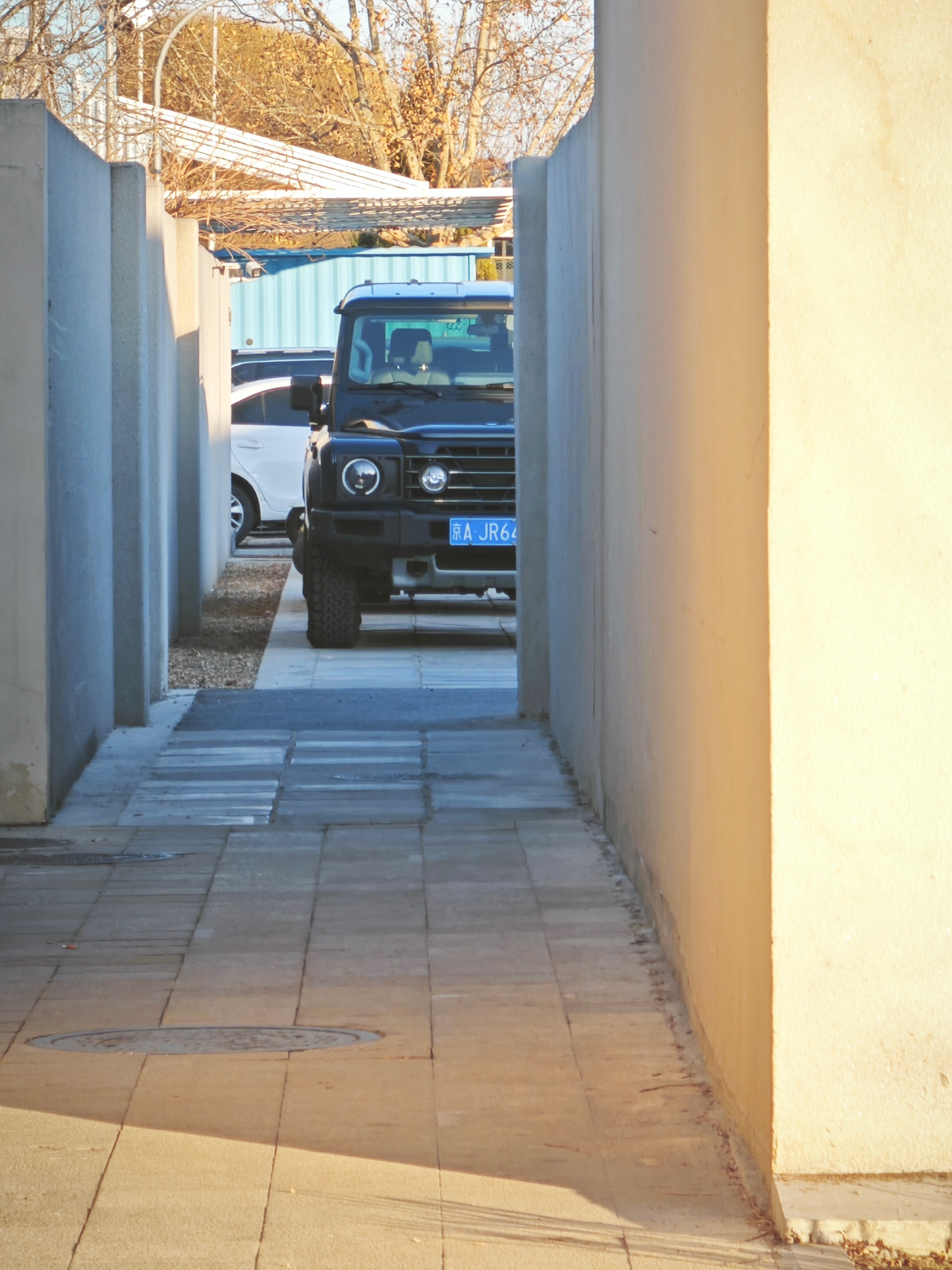 竟然有京牌的掷弹兵，太少见啦