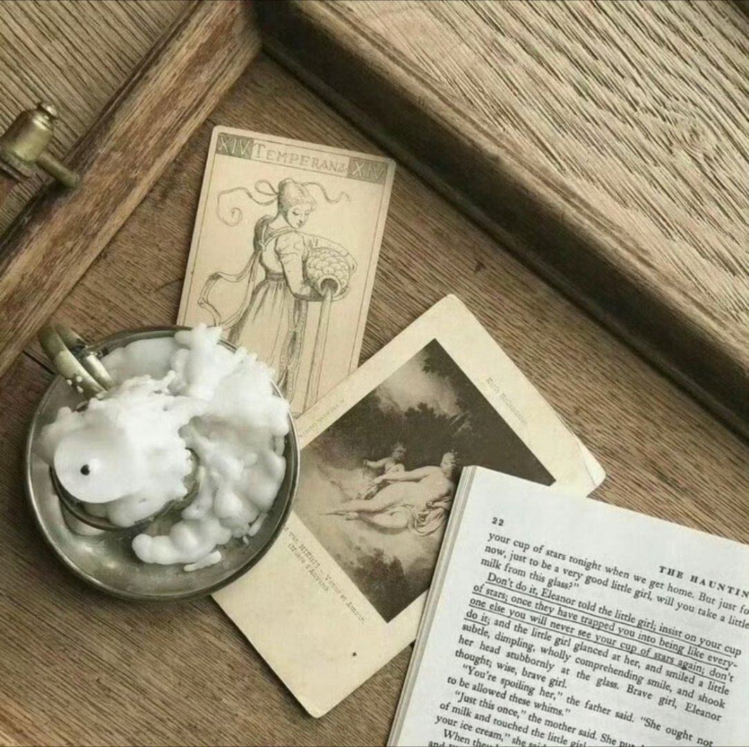 ･ﾟ🎻 . *･𝒮𝒶𝓁𝓁𝓎 𝒶𝓃𝒹 𝒻ℯ𝓇𝒾𝓈 ˖◞ 