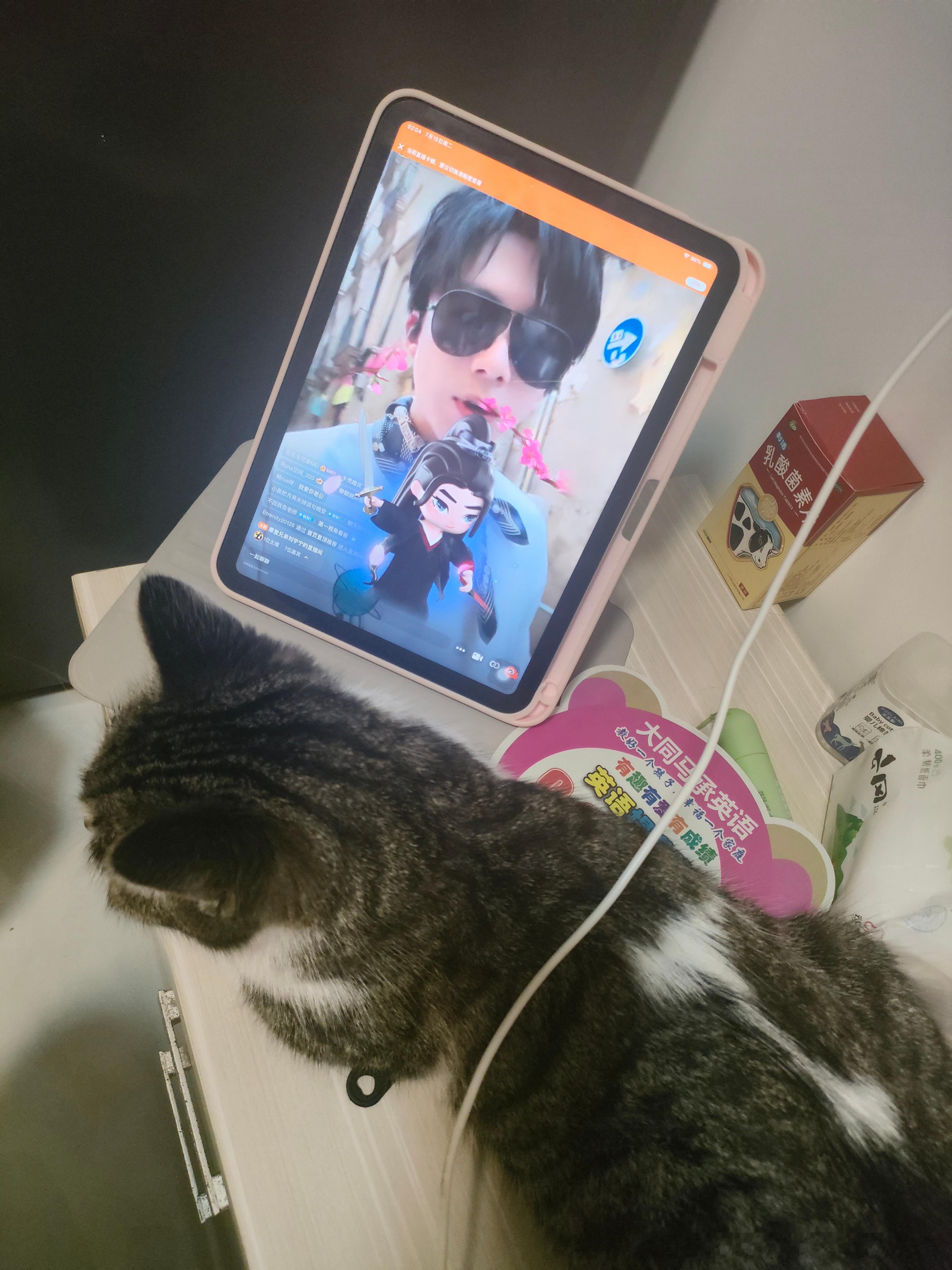坏小猫一直给我蹭iPad倒了好几次了！ ​​​
