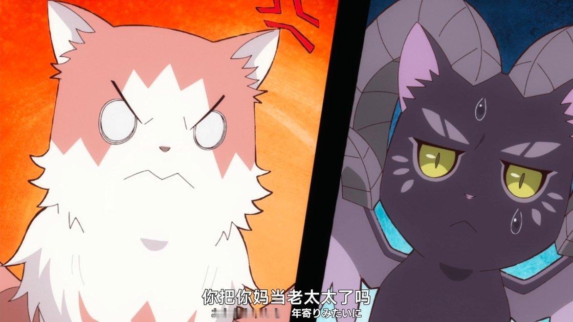 猫妈妈这个萌啊🥺🥺 ​​​